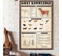 Oudrspo Broadway Theatre Knowledge Metal Tin Sign History Of Broadway Print Decoration Poster Cafe Living Room Kitchen Home Art Wall Decor Plaque Gift 8x12 Inches