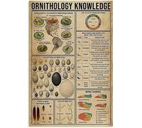 Oudrspo Butterfly Knowledge Metal Sign Fun Facts Farm Decor Anatomy Of Butterfly Retro Poster Vintage Tin Sign for Home Kitchen Farmhouse Wall Art Decor Plaque 12x16 Inch