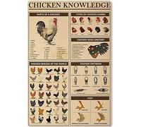 Oudrspo Chicken Knowledge Ballroom Dancing Metal Signs Party Wall Decor Life Is Better When We Dance Vintage Tin Posters Club Room Personalized Wall Art Decor Plaque8x12 Inches