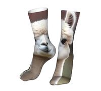 Oudrspo Cute Alpaca In Daze Print Women Men Fun Socks Colorful Crazy Cool Funny Socks Novelty Socks Size 9-11
