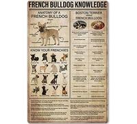 Oudrspo French Bulldog Knowledge Anatomy Of The Ear Metal Tin Signs Ear Infographics Reading Posters Ear Anatomy Plaques Office Clinic Room Wall Decor 12x16 Inches