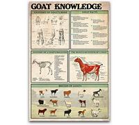 Oudrspo Goat Knowledge Metal Tin Signs Retro Goat Facts Chart Posters Goat Infographic Plaques Farmhouse Room Home Wall Decor 8x12inch