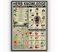 Oudrspo Herb Knowledge Metal Tin Signs Vintage Herbal First Aid Kit Infographic Retro Poster Pharmacist Study Guide Tin Plaque Home Pharmacy Office Decor Knowledge Aluminum Sign Gift 12x16 Inches