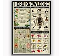 Oudrspo Herb Knowledge Pipe Lovers Collection Metal Signs Tobacco Pipe Knowledge Tin Posters Pipe Reference Infographic Plaques Retro Home Club Bar Man Cave Wall Decor 8x12 inchses