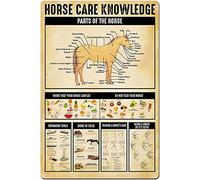Oudrspo Horse Care Knowledge Retro Metal Tin Sign Construction Worker Knowledge Poster Vintage Plaque Wall Decor Home Kitchen Office Club Bar Gym 12x16 Inch