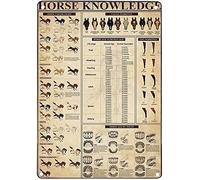 Oudrspo Horse Knowledge Bass Guitar Knowledge Metal Signs,Bass Guitar Retro Wall Art,Gift For Guitar Enthusiasts Vintage Decor Fall Decor House Decor Vintage Poster 12x16 inchs