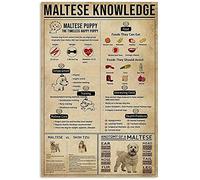 Oudrspo Maltese Knowledge Maltese Knowledge Metal Sign Vintage Farm Decor Dog Encyclopedia Infographic Posters For Home Room School Wall Decor Plaque 12x16 inchses