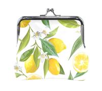 Oudrspo Multi 6 Women Leather Coin Purse, Hasp Card Key Change Wallet Kiss LockClutch Pouch Pocket Ladies Small Buckle Handbag Case Print Tennis Ball Racket Blue Green Pattern