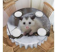 Oudrspo Opossum in Snow Print Round Tablecloth - 60 Inch, Water Resistant Washable Polyester Table Cloth for Buffet Table, Holiday Party, Dinner, Wedding