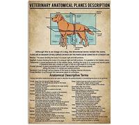 Oudrspo Pit Bull Body Language Knowledge Metal Tin Signs Vintage Know Your Pit Bull Posters Home Pet Shop Room Wall Art Decor Plaque 12x16 Inches