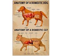 Oudrspo Pit Bull Body Language Knowledge Metal Tin Signs Vintage Know Your Pit Bull Posters Home Pet Shop Room Wall Art Decor Plaque 12x16 Inches