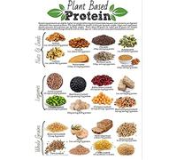 Oudrspo Plant Based Protein Infographics Metal Tin Signs Nutritionist Knowledge Posters Office Reference Guide Plaques Kitchen Studio Home Wall Art Decor 8x12inch