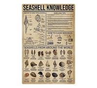 Oudrspo Seashell Knowledge Income Statement 101 Metal Tin Signs Accounting Retro Poster Accounting Office Reference Guide Posters Home Bedroom Club Learning Wall Decor 8x12 inchses