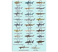 Oudrspo Shark Alphabet Betta Fish Knowledge Metal Signs Vintage Home Wall Decor Fish Lovers Science Infographic Tin Posters Room Club Art Plaque 8x12 inchses