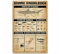 Oudrspo Shark Knowledge 1 Cattle Knowledge Metal Signs Muscles Anatomy of A Cattle Posters Farm Wall Decor Home Decor Kitchen Decor Printing Plaque 8x12 inchses
