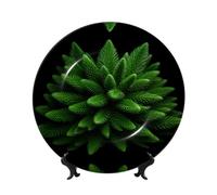 Oudrspo Spruce-Foliage Tree Pattern Decorative Plate, 6in Microwave/Oven/Dishwasher Safe, Scratch Resistant, for Living Room Decor, Entryway Art, Gift for Home