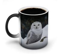 Oudrspo Style Snow Owl Ceramic Coffee Mug 11oz Heat Sensitive Magic Coffee Mug Color Changing Coffee Cup Tea Cup for Women Men