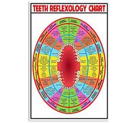 Oudrspo Teeth Reflexology Chart Metal Tin Signs Dental Infographics Reading Posters Dentist Study Guide Plaques Hospital Office Room Wall Decor 8x12inch