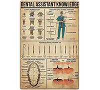 Oudrspo Tin Sign 4 Crocodile Knowledge Metal Poster The Anatomy Of A Crocodile Tin Sign School Club Cafe Bedroom Bathroom Kitchen Home Art Wall Decoration