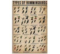 Oudrspo Types Of Hummingbirds Tin Sign Metal Poster Vintage Retro Plaque Wall Decor Gift For Garden Men Cave Garage Classroom Library Living Room Cinema 8x12inch