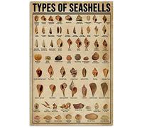 Oudrspo Types of Seashells Yoga Knowledge Posters Metal Signs Pilates Mat Exercises Wall Decor Science Chart Room Decor Printing Plaque 12x16 inchses