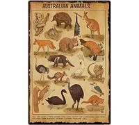 Oudrspo Vintage Australian Animals Knowledge Animal Science Children School Poster Metal Aluminium Tin Sign 8x12 Inch Wall Decor