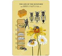 Oudrspo Vintage The Life of The Honey Bee Knowledge Poster Metal Aluminium Tin Sign 8x12 Inch Wall Decor