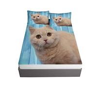 Ouduo 3D Cat Fitted Sheets & Pillowcases Set Microfibre Bedding Sheets with Deep Pocket 30cm for Double King Single Size Bed - Shrinkage Fade Resistant (blue,150x200x30cm)