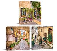OuElegent 3 Pieces Mediterranean Canvas Wall Art Prints for Bedroom Living Room Vintage Italy Village Landscape Modern Colorful Painting for Bathroom Home Decoration Ready to Hang 16"x16"x3 Pcs