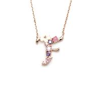 OUFANKADI Initial Necklace for Women, Rose Gold Necklace for Mum, Womens Letter Necklace, Jewellery Friendship Necklace, Personalised Birthday Gift for Mother Daughter Grandmother Sister Auntie (F)