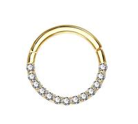 OUFER 16G 14K Solid Gold Hinged Clicker Segment Ring Lip Nose Hoop Helix Daith Tragus Cartilage Earring Septum Ring Gold 10mm