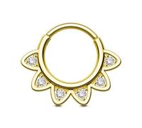 OUFER 16G Daith Piercing Jewelry, Clear CZ Cat Ears Design Daith Hoop Earring, 316L Stainless Steel Daith Earrings, Helix Cartilage Septum Piercing Jewelry, 16G 8MM, Stainless Steel Metal, cubic