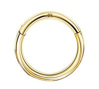 OUFER Body Piercing Helix Hoop Earring Ring Piercing Jewellery 16G 9K Solid Gold Hinged Clicker Segment Ring Lip Nose Hoop Ring Septum Daith Tragus Conch Piercing Cartilage Earring 10