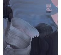 Ought - Room Inside The World [VINYL]