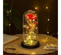 ougiver Personalized Christmas Preserved Light Up Rose for Women, Colorful Light Up Rose in Acrylic Dome, Rainbow LED Galaxy Plastic Flower Rose, Christmas Decorations for Office Home Decor (Red)