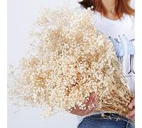 OUKEYI 17 Inch Dried Flowers Baby's Breath Bouquet - 2000+ Ivory White Dry Flowers,Natural Gypsophila Branches for Home Decor, Wedding, Table Decor, DIY Wreath Floral, Dry Flowers Bulk for Vase
