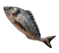 OUKEYI 23.6inch/60cm Plush Fish Toy Pillow,3D Dorado fish Stuffed Animal Cushion Pillow Dorado fish Stuffed Toy Throw Pillow for Children’s Pillow Boys and Girls Room Decoration Bedtime Gift