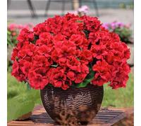 OUKEYI 6 PCS 14" Artificial Geranium Flowers for Outdoors, Red Geranium Silk Flowers Outdoor UV Resistant Garden Plants Bush Faux for Home Wedding Kitchen Table Centerpieces Decor