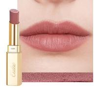 Oulac Matte Pink Lipstick for Women Hydrating Highly Pigmented Matte Finish Lip Color Lightweight Smooth Formula Non-Drying Waterproof Lipstick Long Wear, Vegan&Cruelty Free Lip Makeup RM05