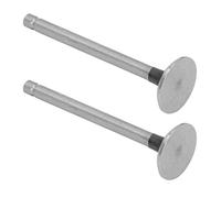 Oumefar Intake Exhaust Valve Set 2PCS Alloy Steel Durable Replacement for Mini Tiller Equipment