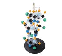 Oumefar Protein Molecular Model Brightly Colored Educational Tool for Classroom and Lab Use Plastic Structure Kit
