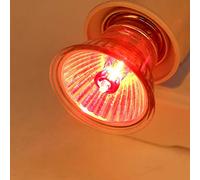 Oumefar Supply Reptile Turtle Snake Infrared Heating lamp UVA+UVB Solar lamp Reptile Heating lamp Thermal Insulation and red Light (25W)