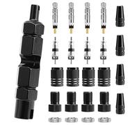 Oumers Bike 25-piece Valve Core Tool Set,Included Presta Valve Core and Cap, Schrader Valve Core and Cap, Presta to Schrader Valve Adapter, Rim Nut, Core Removal Tool