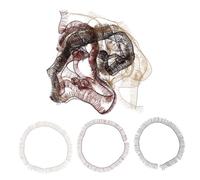 OUNONA 15pcs DIY Doll Eyelashes Strip False Lashes for Doll Making Craft Supplies and Realistic Look