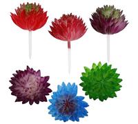 OUNONA 6pcs Lifelike Simulated Succulent Plants Desktop Ornaments Artificial Succulent Decor for Home Office Balcony Random Color