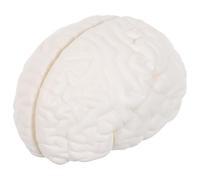 OUNONA Anatomical Brain Model: Human Brain Anatomy Model 3-Part for Learning and Teaching Anatomy - Medical Study Display for Biology or Education
