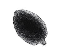 OUNONA Ceramic Sauce Plate and Snack Plate 8-inch Banana Leaf Design Decorative Tableware Food Tray for Home Kitchen Serving Desserts and Appetizers