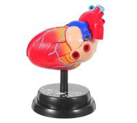 OUNONA Human Heart Model with Layered Interactive Design Multi-functional Activity Compatible and Mounted Display Base Human Anatomy Model for National Curriculum Lessons and Educational