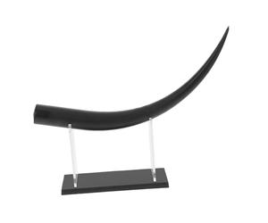 OUNONA Large Eyelash Training Model for Professional Lash Extensions Realistic False Lashes Display Prop for Makeup Salons and Beginners