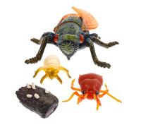 OUNONA Lifelike Cicada Growth Cycle Model Plastic School Teaching Tool Early Education Accessory for Home Decoration Stimulates Creativity and Imagination